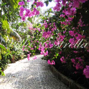 Villa Estrella Gardens