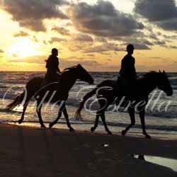 Villa Estrella Horseback Riding